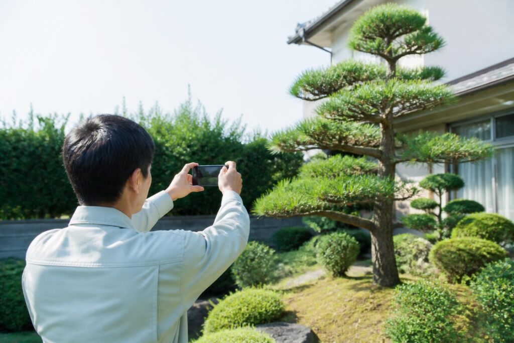 庭木剪定・伐採のイメージ